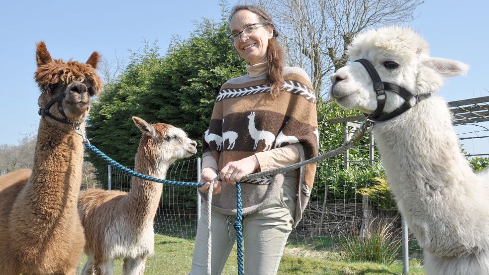 Melanie Runde mit Filou, Lanzelot und Percy. Foto: Ullrich