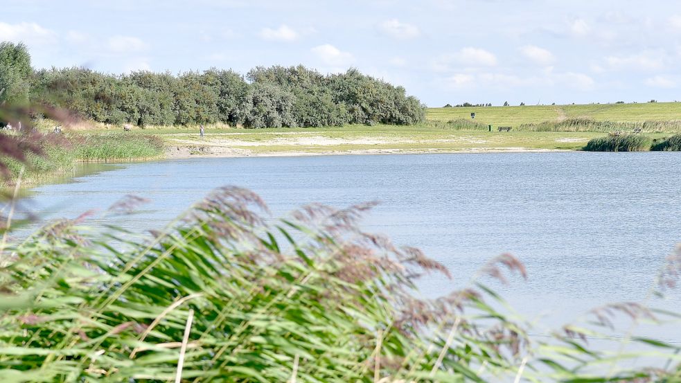 Ein Geheimtipp und immer wieder von Blaualgen betroffen: der Badesee bei Greetsiel. Foto: Wagenaar/Archiv