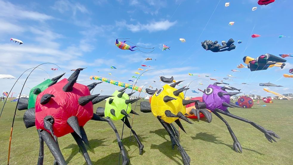 Rund 100 Drachensportler verwandelten den Himmel in ein flatterndes Fahnenmeer. Foto: Cordsen