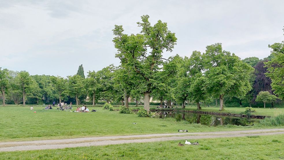 Das Schwanenteich-Gelände ist nicht nur bei Enten beliebt, sondern auch bei Menschen. An Sommertagen finden sich dort häufig Leute ein. Foto: Hanssen/Archiv