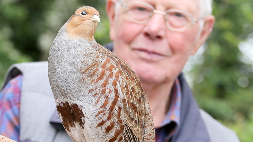 Enno Lichtsinn aus Schirumer Leegmoor in Aurich hat schon als Kind Rebhühner gehalten – damals gab es noch viele in freier Wildbahn. Foto: Böning