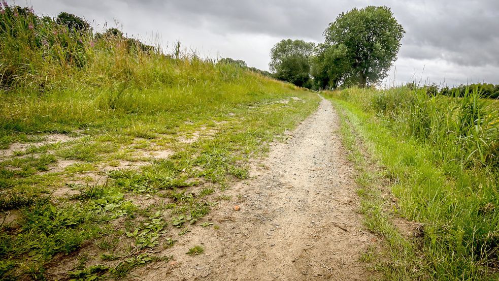 Der Weg entlang des Südufers ist unbefestigt. Foto: Berentzen