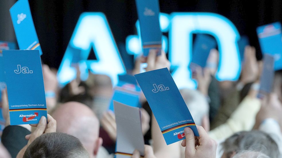 Delegierte stimmen auf dem Landesparteitag der AfD Sachsen-Anhalt in Weißandt-Gölzau ab. Foto: Schmidt/dpa