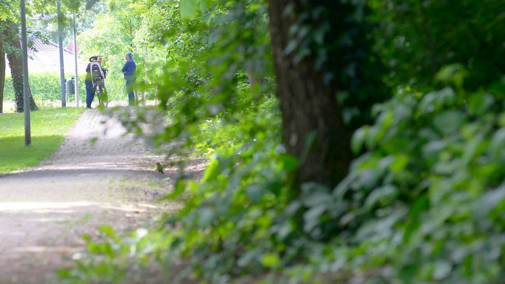 Ein fester Weg führt rund um den Berg herum. Dort gehen Einheimische gerne spazieren. Foto: Lüppen