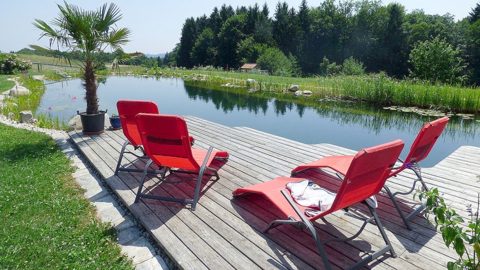 Man kann einen Schwimmteich auch vom Rand aus genießen. Foto: Pixabay