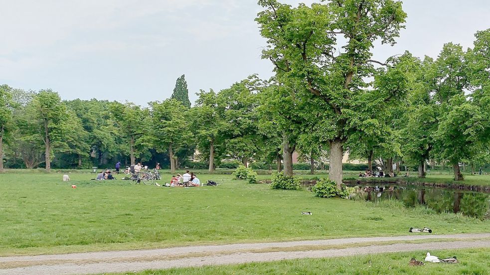 Das Schwanenteich-Gelände ist ein beliebter Treffpunkt. Meist geht es dort gesittet zu. An Vatertag aber eskalierte es bei einer Massenparty. Foto: Hanssen/Archiv