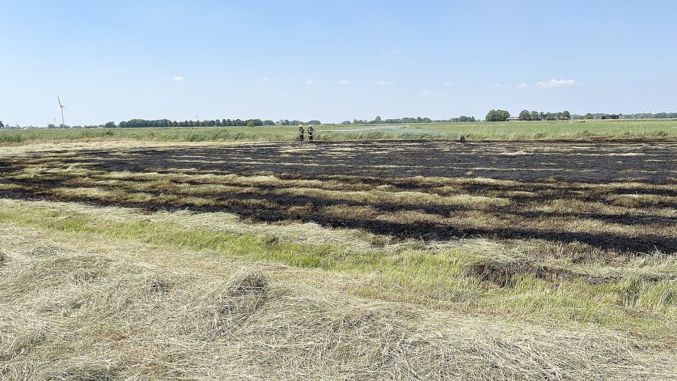 In Freepsum hat es einen Flächenbrand gegeben. Foto: Feuerwehr Krummhörn