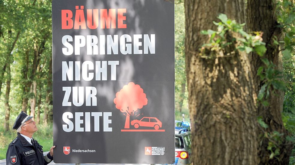 Manche Bäume stehen gefährlich nah an der Straße. Foto: dpa/Ingo Wagner