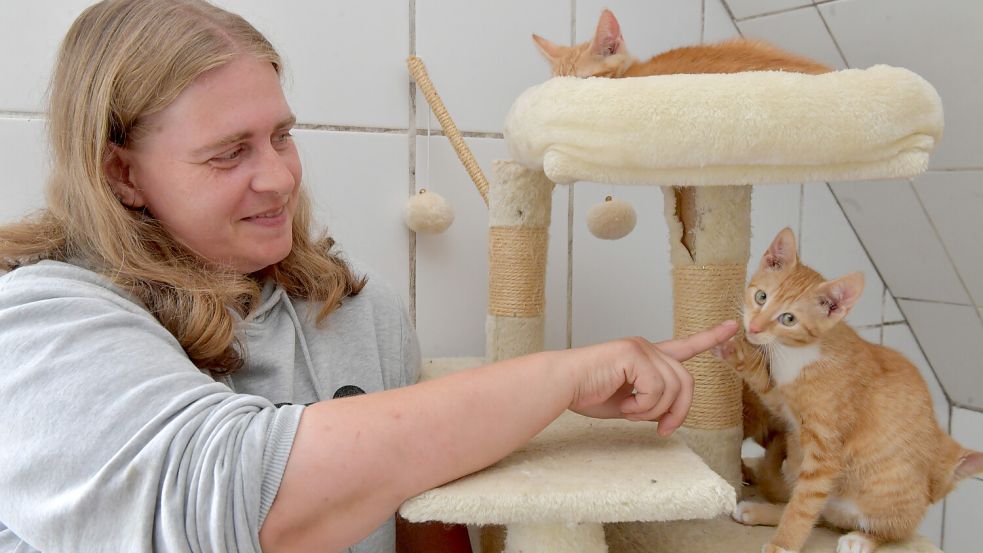 Silke Heilig kümmert sich im Tierheim Stapelmoor auch um die Versorgung der Kätzchen.