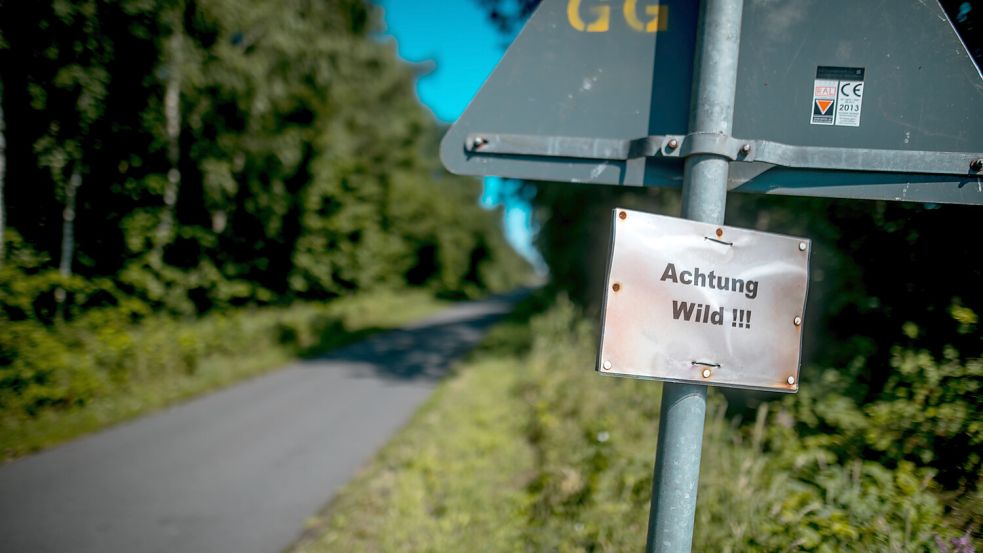 "Achtung Wild!!!" Am Russenschloot wird auch um Rücksicht auf Tiere geworben.
