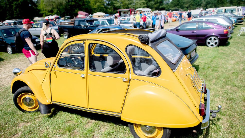 An den Steuervergünstigungen von Oldtimern gibt es Kritik. Foto: dpa/Hauke-Christian Dittrich