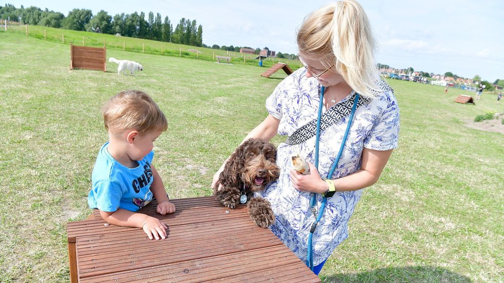 Labradoodle-Hündin Josy und Ben, der Urenkel unseres Fotografen, haben beide Spaß an dem Spielplatz.