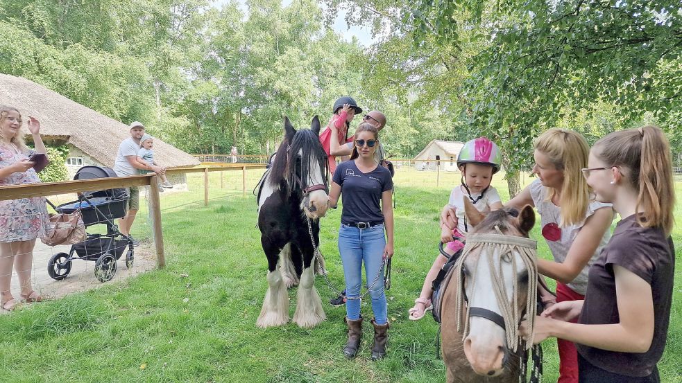 Beim Kinderfest in Moordorf wird unter anderem Ponyreiten angeboten. Foto: Moormuseum