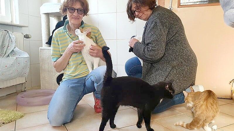 Iris Holzapfel (links) vom Tierschutz Rheiderland, der das Tierheim Stapelmoor betreibt, und Andrea Pastoor, Vorsitzende der Streunerkatzen Rheiderland und ihre Kollegen überprüfen auch stichprobenartig, ob es die vermittelten Tiere in ihrem neuen Zuhause wirklich gut haben. Foto: Gettkowski