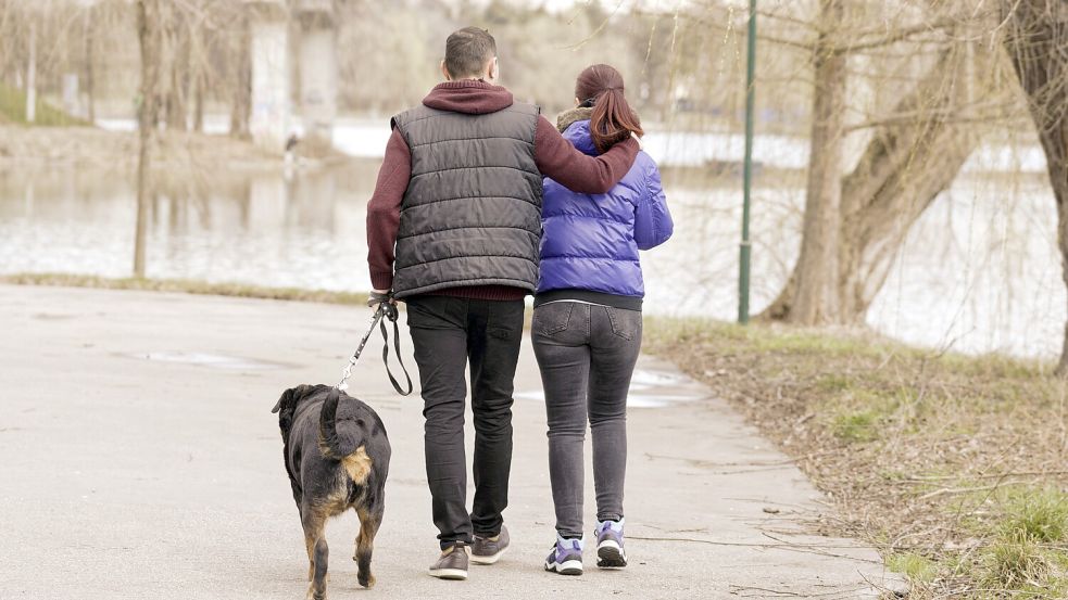 Passen Hund und Halter zusammen? Foto: Pixabay