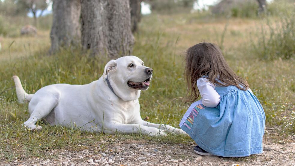 Nicht jeder Hund ist mit Kindern so verträglich. Foto: Pixabay