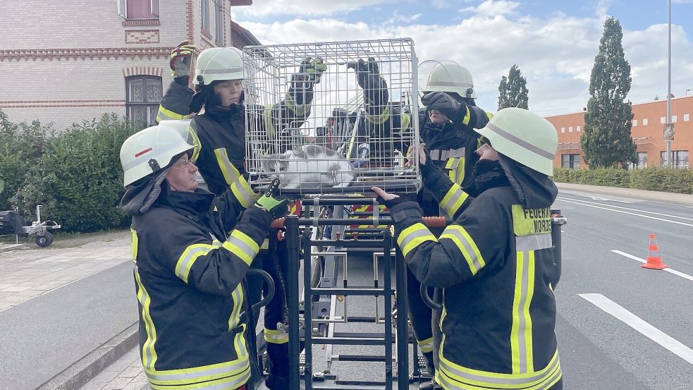 Das Tier hatte sich laut Feuerwehr ohne Gegenwehr in der Transportbox unterbringen lassen. Foto: Feuerwehr