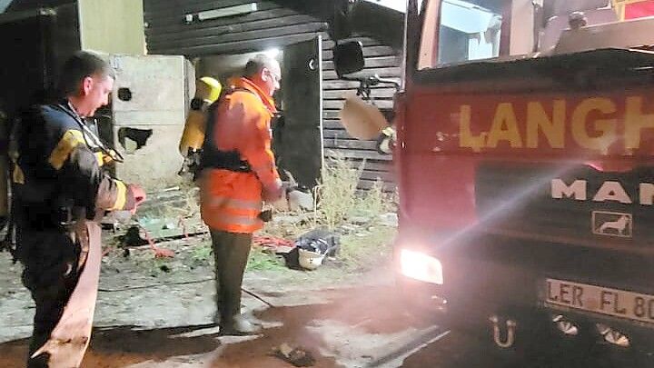 Die Feuerwehr aus Langholt wurde in der Nacht zu dem Einsatz gerufen. Foto: Feuerwehr