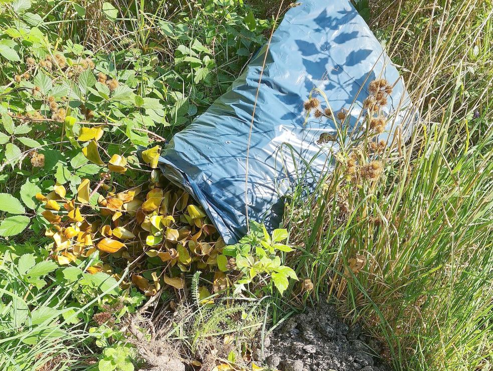 Überall im Wald findet man Müllsäcke.
