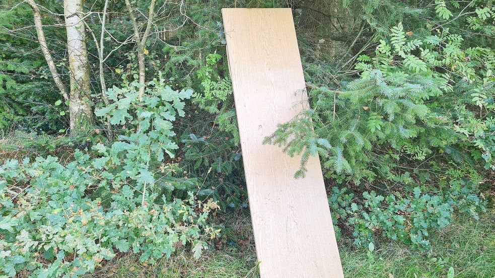 Auch größere Teile wurden im Wald abgeladen.