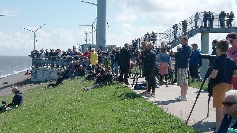 In Eemshaven hatten sich viele Schaulustige versammelt. Foto: Alberts
