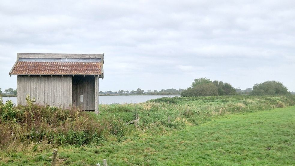Von der Beobachtungshütte am Kolk aus kann man zahlreiche Wasservögel beobachten. Foto: Gettkowski