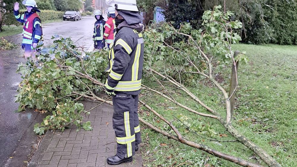 Durch die Sturmböen musste einiges an Geäst beschnitten werden. Foto: Hasbargen