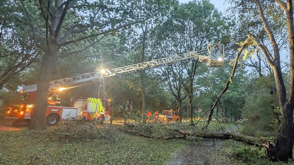 Die Ortsfeuerwehr Aurich war am frühen Abend mit der Drehleiter in Tannenhausen im Einsatz. Foto: Westermann