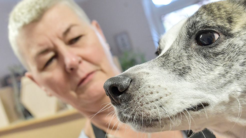 An Missi, dem Mischlingshund von Petra Rotter, kann man gut die weit abstehenden Vibrissen erkennen.
