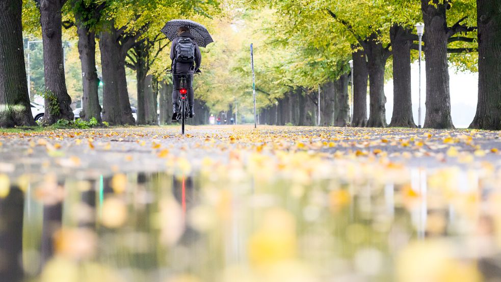 Das Wetter in Niedersachsen bleibt in den kommenden Tagen grau und nass. Foto: dpa/Julian Stratenschulte