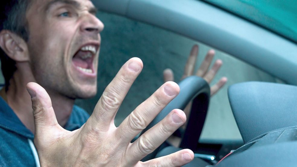 So mancher Autofahrer musste starke Nerven beweisen. Foto: Adobe Stock/Berki Cosmin Alin