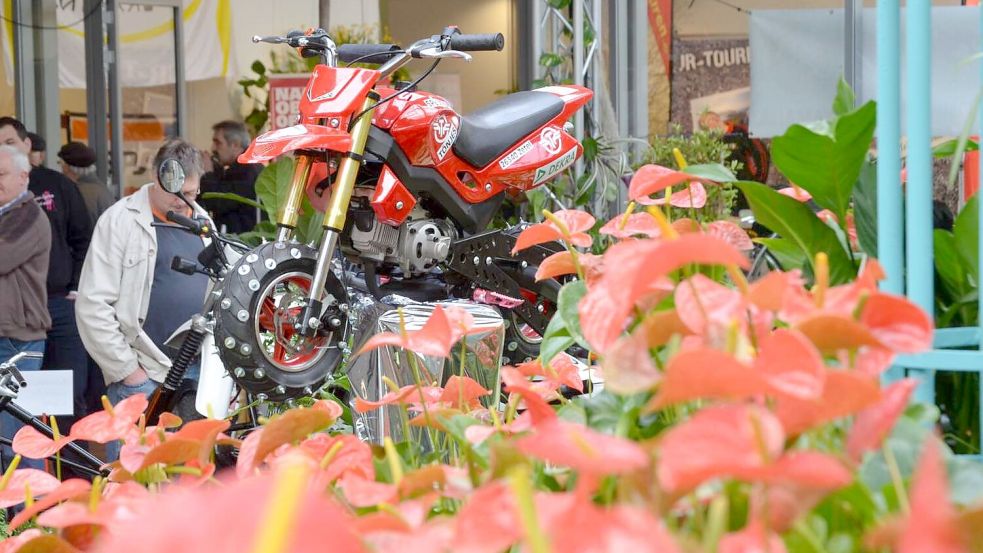 Sogar die heißen Öfen der Motorradtage passen zu den blühenden Schönheiten in der Nachbarschaft. Foto: Archiv