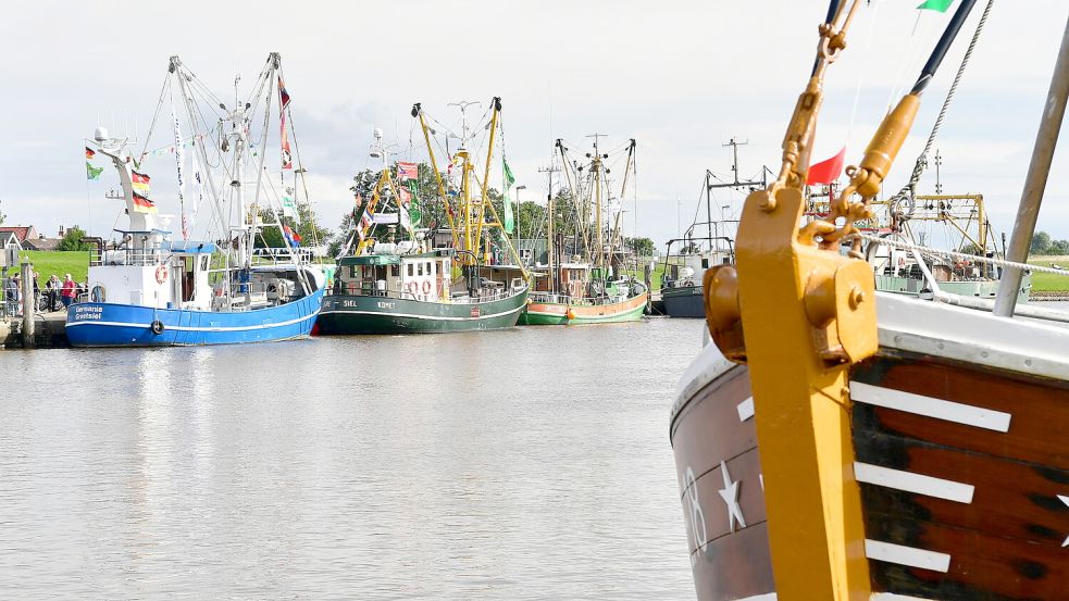 Krabbenkutter im Greetsieler Hafen. In Brüssel wird seit Monaten über die Fangmethoden der Nordseefischer diskutiert. Foto: Wagenaar/Archiv