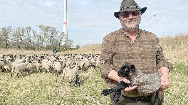 Alfred Straubinger hat sich 1975 als Schäfer selbstständig gemacht. Auch im Ruhestand lässt den 67-Jährigen die Arbeit mit den Tieren nicht los. Die Blauzungenkrankheit werde allerdings überbewertet, findet er. Archivfoto: Tomé