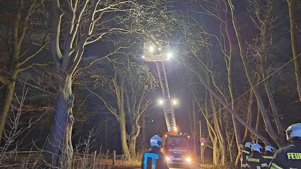 Auch in Tannenhausen war eine Telefonleitung involviert. Foto: Friedrichs/Freiwillige Feuerwehr Aurich