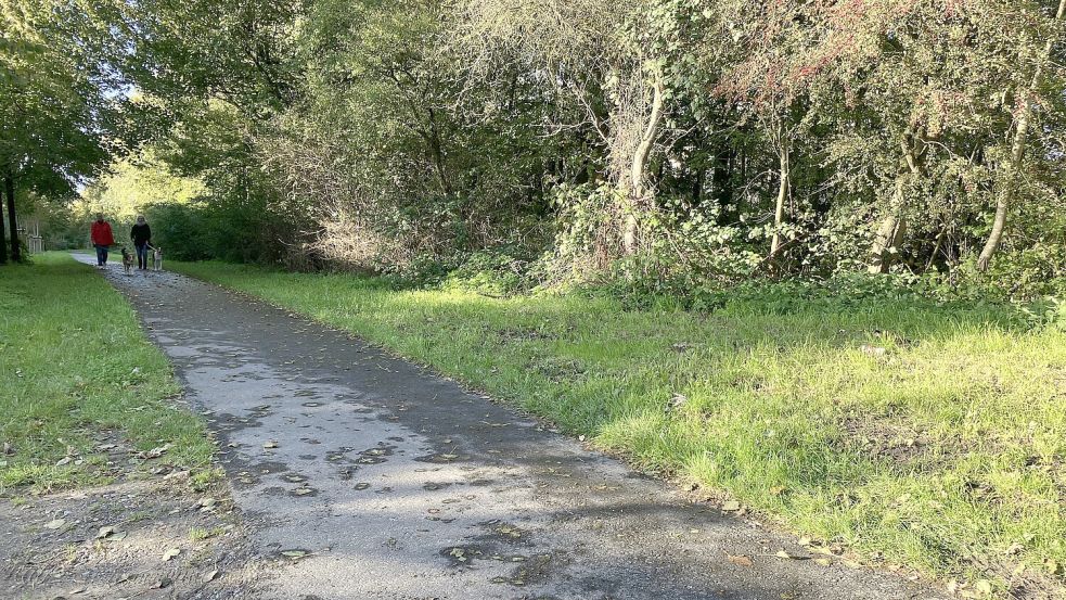 So soll der Radweg aussehen, wenn er fertig ist: das Verbindungsstück vom 4. Polderweg nach Larrelt. Foto: Schuurman