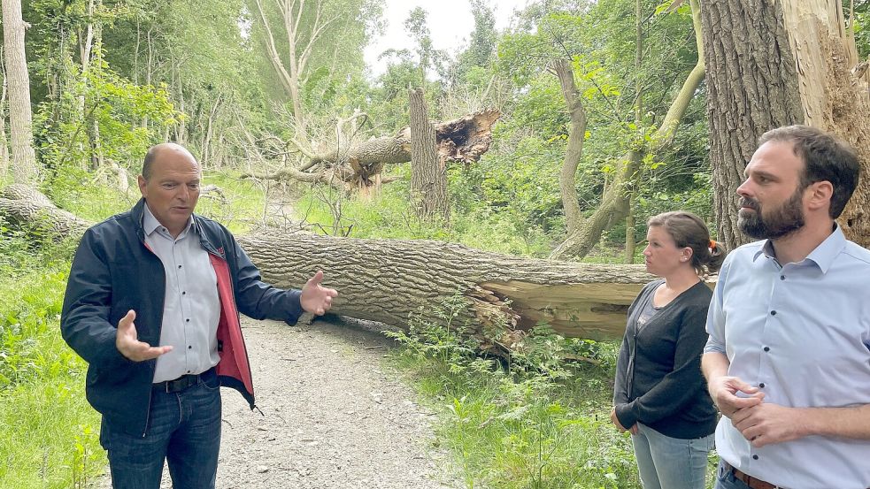 Ortsbegehung mit der Politik im Sommer 2022: BEE-Chef Nils Andersson erläutert die Schadenslage nach den Frühjahrsstürmen. Foto: Schuurman