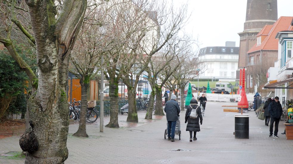 An den Bäumen in der unteren Strandstraße ist eine moderne Winterbeleuchtung geplant. Foto: Ferber