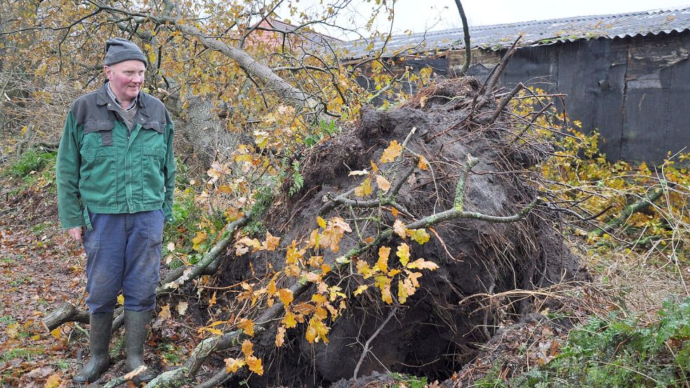 Dieser Baum wurde bei dem Tornado am Freitagabend entwurzelt und schlug ins Dach des Geräteschuppens von Landwirt Wilhelm Graalfs ein. Foto: Ullrich