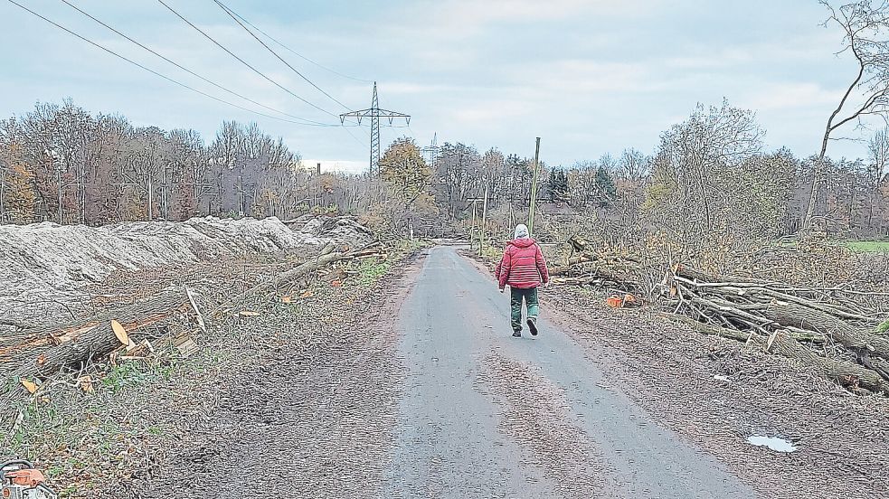 Bei den aktuell stattfindenden Gehölzarbeiten handelt es sich um Arbeiten zum Freimachen des Baufeldes für die Erstellung des Brückenbauwerks. Foto: Belling