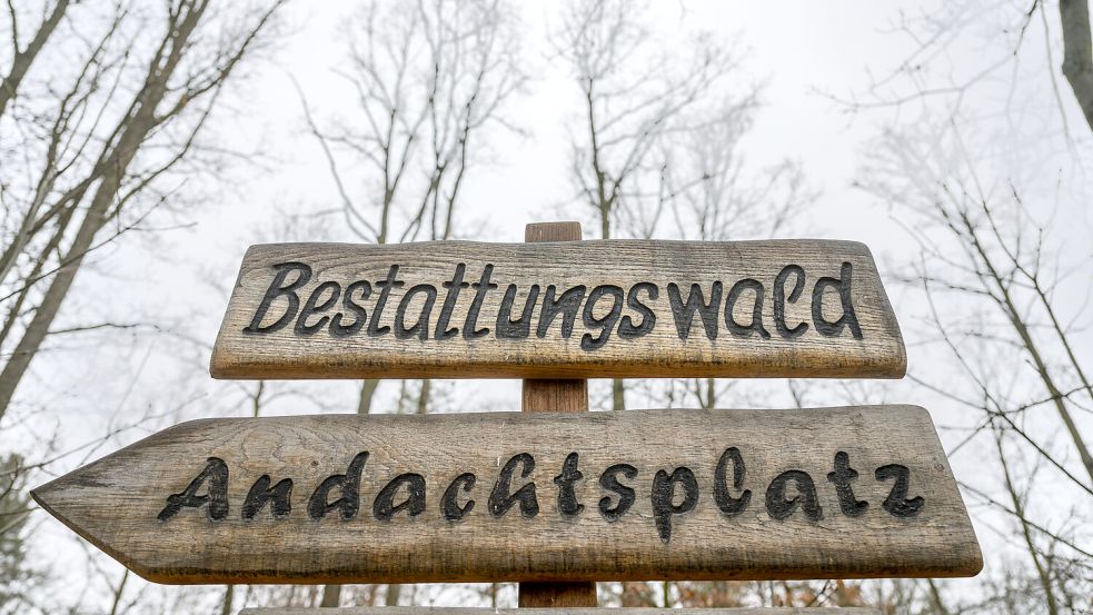 Die CDU wünscht sich einen Bestattungswald in der Gemeinde Hinte. Foto: Michael/dpa