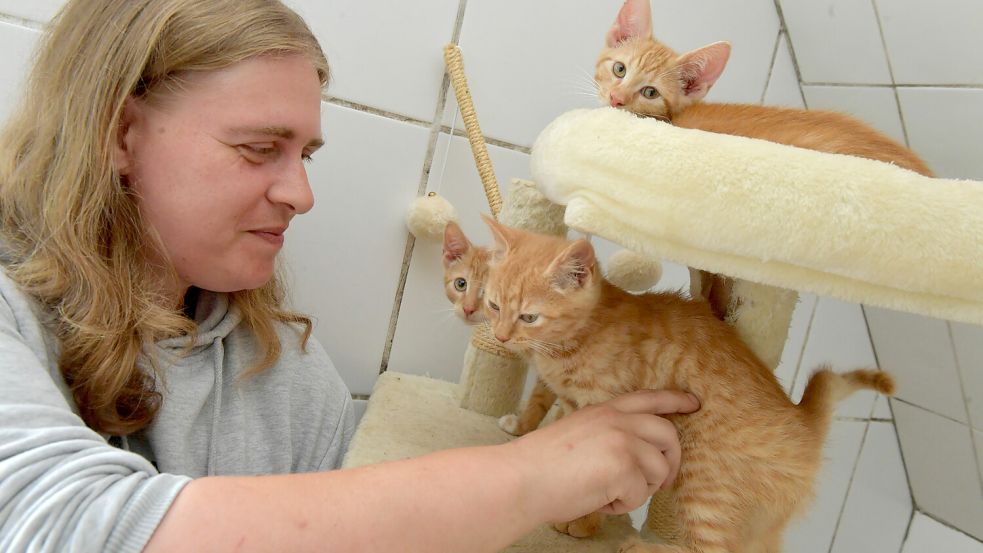 Silke Heilig gehört zu den festangestellten Mitarbeitern im Tierheim Stapelmoor. Mit Kätzchen spielen gehört ebenso zu den Aufgaben wie Katzenklos sauberzumachen. Archivfoto: Ortgies