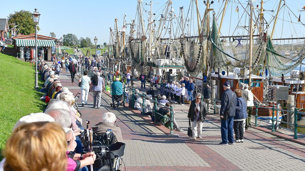 Jede Menge los im Greetsieler Hafen: Die Gemeinde will Ferienwohnungen stärker regulieren. Foto: Archiv/Wagenaar