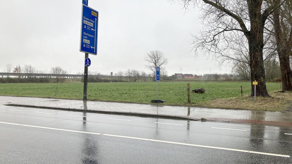 An der Uphuser Straße wäre eine direkte Zufahrt möglich: Auch wegen der Verkehrsanbindung favorisiert Lidl in Wolthusen die grüne Wiese. Foto: Schuurman