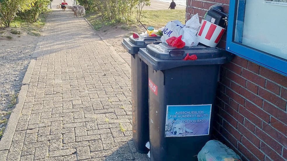 Diese Tonnen an der Knock wurden für Partymüll missbraucht und stehen heute nicht mehr. Foto: Archiv
