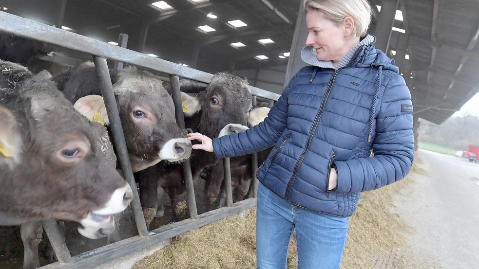 Karin Post de Buhr legt nach eigenem Bekunden viel Wert darauf, dass es ihre Bullen während des Aufenthalts in Brockzetel komfortabel haben.