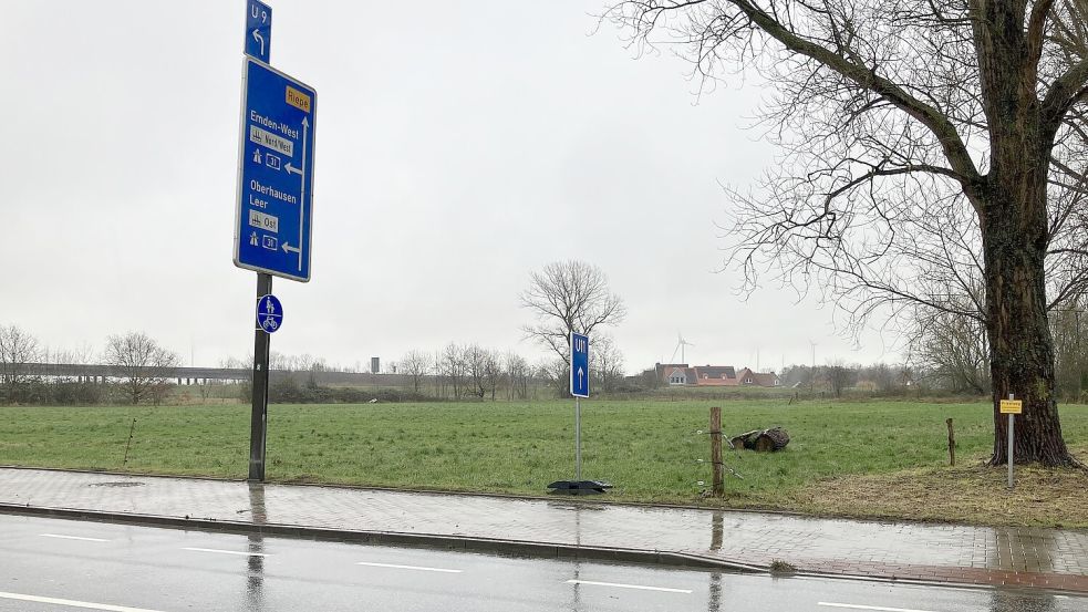Umstritten: die Grüne Wiese als Bauland an der Uphuser Straße in Wolthusen. Foto: Schuurman