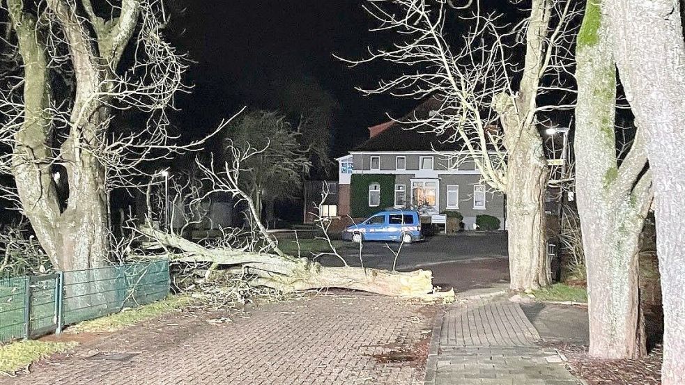 In Emden musste die Feuerwehr zahlreiche umgestürzte Bäume beseitigen. Foto: Feuerwehr