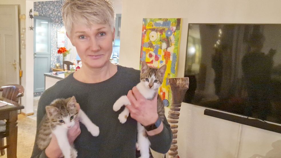 Inka Peters hält Schröder und Charly Brown hoch, die beiden kleinen Kater wurden nach den Figuren der Comic-Serie Peanuts benannt und suchen gemeinsam ein neues Zuhause. Foto: Gettkowski