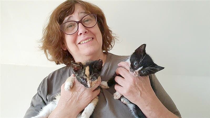 Andrea Pastoor von den Streunerkatzen betreut einige Tiere auch bei sich zu Hause. Foto: Gettkowski/Archiv